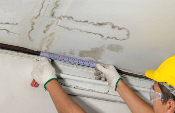 Affordable Water Damage Repair solutions in Saint Charles, MI